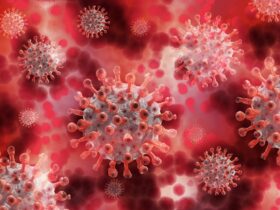 Norovirus cases rise in US
