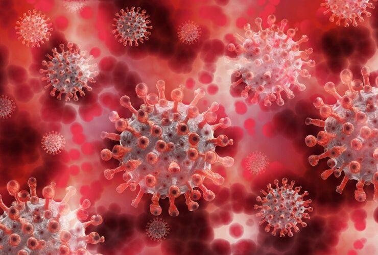 Norovirus cases rise in US